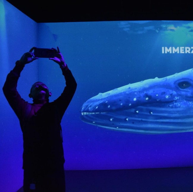 Museum Zoologi Bogor Hadirkan Ruang Imersif Dunia Satwa