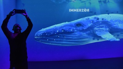 Museum Zoologi Bogor Hadirkan Ruang Imersif Dunia Satwa