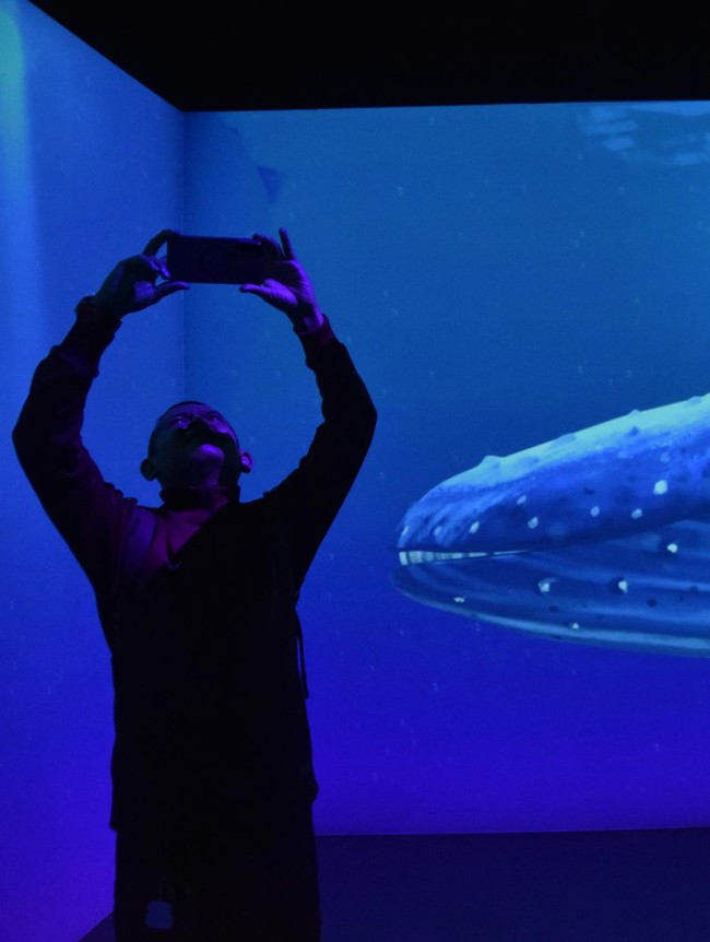 Museum Zoologi Bogor Hadirkan Ruang Imersif Dunia Satwa