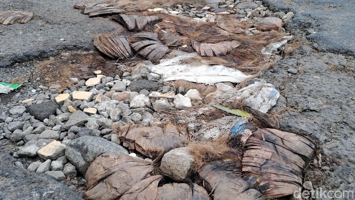 Warga tambal jalan berlubang dengan batok kelapa di Kertomenanggal Surabaya
