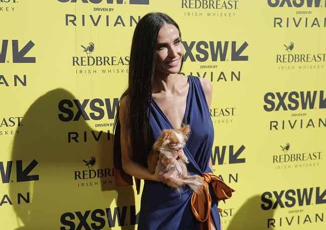 Demi Moore datang ke acara tersebut bersama ‘teman kencannya’ yang tidak biasa, yaitu anjing chihuahua mini miliknya bernama Pilaf. Anjing mungil itu memang kerap ia bawa ke berbagai acara publik sebelumnya. Foto: Getty Images/Tibrina Hobson