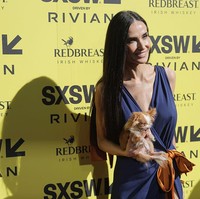 Demi Moore datang ke acara tersebut bersama ‘teman kencannya’ yang tidak biasa, yaitu anjing chihuahua mini miliknya bernama Pilaf. Anjing mungil itu memang kerap ia bawa ke berbagai acara publik sebelumnya. Foto: Getty Images/Tibrina Hobson