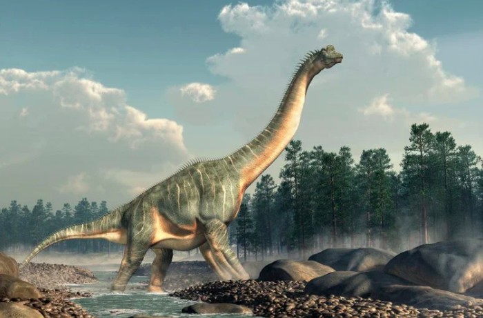 Dinosaurus jenis sauropoda, kelompok dinosaurus herbivora berleher panjang dan bertubuh sangat besar.