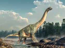 Jejak Dinosaurus Berjalan Memutar Bikin Ilmuwan Penasaran