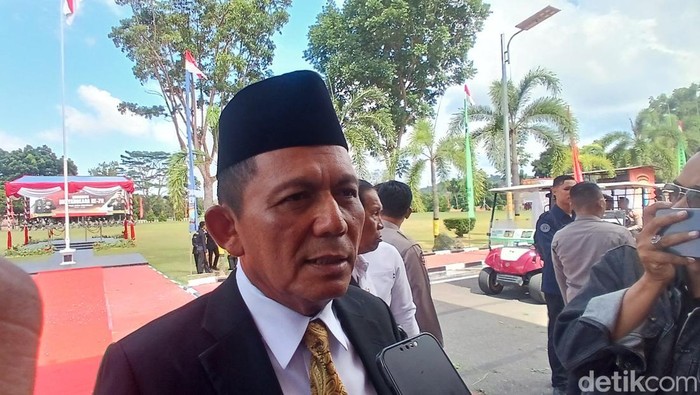 Gubernur Kepri, Ansar Ahmad. (Alamudin Hamapu/detikSumut)