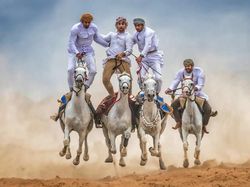 Foto Terbaik HIPA Awards 2026, Karya Para Juara Bikin Takjub Dunia