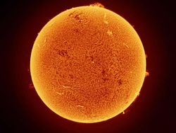 Foto Terbaik HIPA Awards 2026, Karya Para Juara Bikin Takjub Dunia