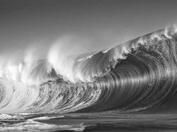 Foto Terbaik HIPA Awards 2026, Karya Para Juara Bikin Takjub Dunia