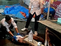 Brutal! Pria Diringkus Polisi Kota Batu Habis Pukuli Orang Pakai Palu