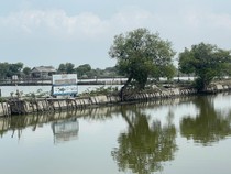 Mudik ke Sidoarjo? Wisata Pemancingan hingga Seafood Segar Bisa Jadi Pilihan