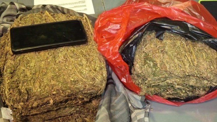 Polisi menyita 4,3 kilogram ganja di Depok.