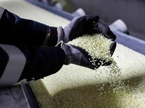 Bagaimana Perang AS-Israel Vs Iran Bisa Memicu Krisis Pangan?