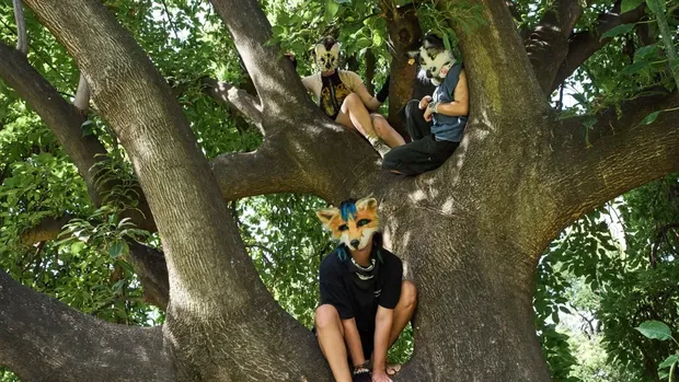 Plaza Buenos Aires berubah jadi tempat nongkrong remaja Argentina yang mengidentifikasikan diri mereka sebagai hewan. Pemandangan di sana pun tak biasa.