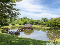 Kampung Ladang Outbound, Menikmati Spot Piknik Bernuansa Alam