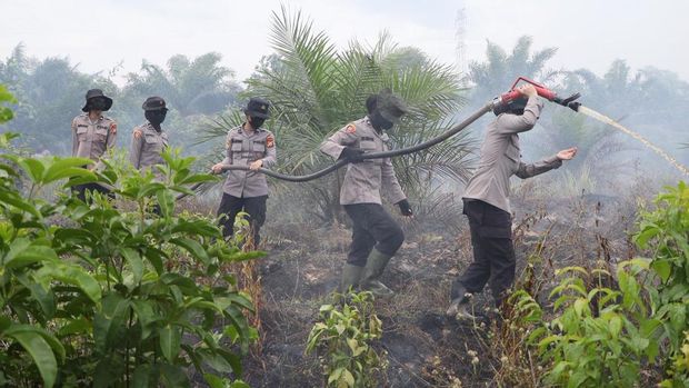 Kebakaran lahan seluas 30 hektare terjadi di Kabupaten Rokan Hilir (Rohil), Riau. Kapolres Rohil AKBP Isa Imam Syahroni ikut turun tangan memadamkan kebakaran. (dok Polda Riau)
