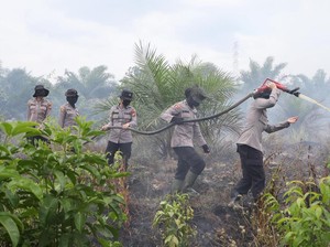 Sumsel Siaga Karhutla di Tengah Ancaman El Nino