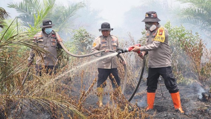 Kebakaran lahan seluas 30 hektare terjadi di Kabupaten Rokan Hilir (Rohil), Riau. Kapolres Rohil AKBP Isa Imam Syahroni ikut turun tangan memadamkan kebakaran. (dok Polda Riau)