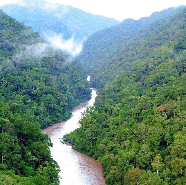 Aksi Sang Motoris Long Boat!