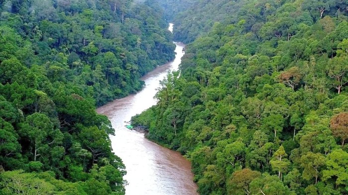 Motoris Longboat saat menaklukkan Sungai Bahau