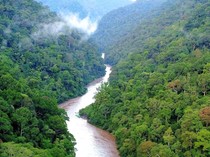 Para Pemberani yang Bikin Urat Nadi Ekonomi Berdetak di Sungai Ganas Kaltara