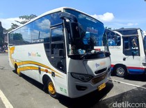 Dishub Denpasar Soroti Bus AKAP Naik-Turunkan Penumpang Sembarangan