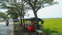Warga mulai membuka warung - warung di pinggir jalan dengan berlatar belakang persawahan.