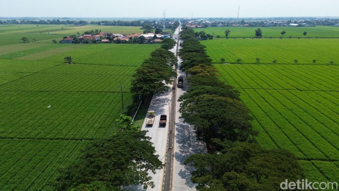Foto udara lalu lintas jalan Pantura di Kabupaten Subang, Jawa Barat, Sabtu (14/3/2026). 
Sejumlah posko mudik mulai berdiri di tepi jalan Pantura menuju Jawa Tengah, namun pantauan detikcom di lokasi belum banyak pemudik yang mampir.
