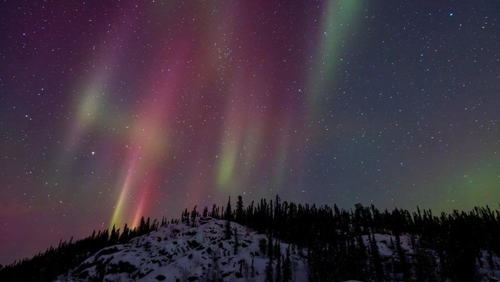 The aurora borealis, also known as the northern lights, over the frozen Prosperous Lake near Yellowknife, Northwest Territories, Canada, March 13, 2026. REUTERS/Carlos Osorio     TPX IMAGES OF THE DAY