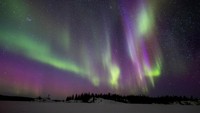 Cahaya hijau dari Aurora Borealis membentang di langit dekat Yellowknife. Foto: REUTERS/Carlos Osorio