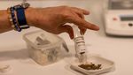 Botol Obat Kuno di Turki Ungkap Praktik Medis Roma