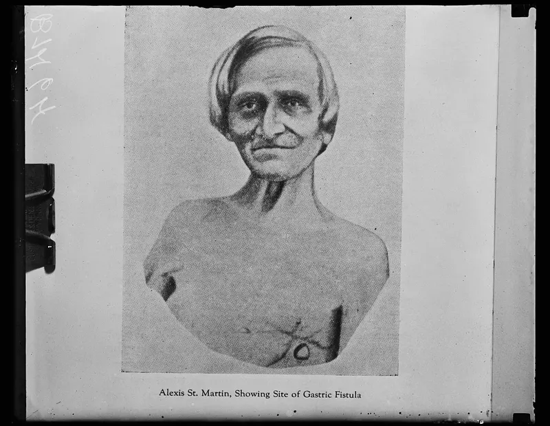 Tak Banyak yang Tahu, 4 Makanan Ini Membentuk Peradaban Dunia