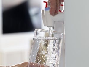 Hati-hati! BPA Tak Cuma Ada di Galon, Paparan Kronis Bisa Ganggu Tumbuh Kembang Anak