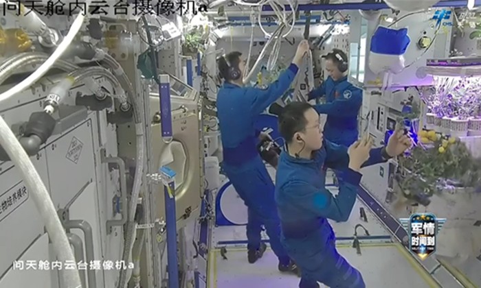 Astronaut China panen tomat di stasiun luar angkasa Tiangong