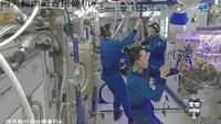 Astronaut China Panen Tomat di Luar Angkasa