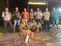 4 Pencuri Sapi Kupang Ditangkap, Babak Belur Dihajar Massa