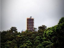Dikira Hotel di Tengah Hutan, Ternyata Rumah Mewah 10 Lantai Punya Petani!