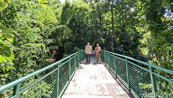 Hutan Kota Babakan Siliwangi