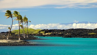 Helikopter Wisata Jatuh di Hawaii, Tiga Orang Meninggal Dunia