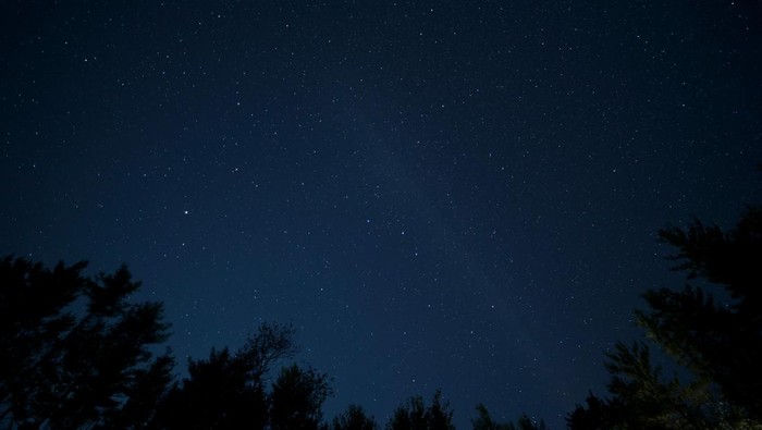 Langit malam berwarna biru tua yang tenang. Di bagian bawah, siluet hitam pepohonan menghiasi.