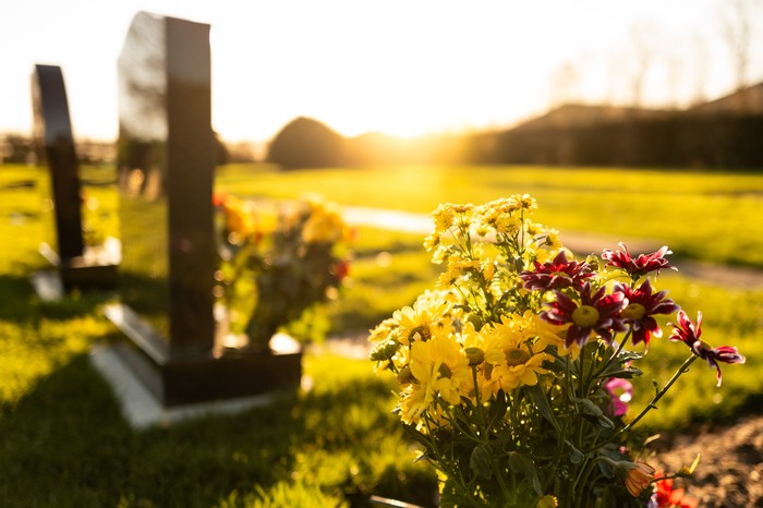 Dusk at a winters English cemetery seen with in-focus flowers in a burial plot. A number of fresh marble headstones can be seen.