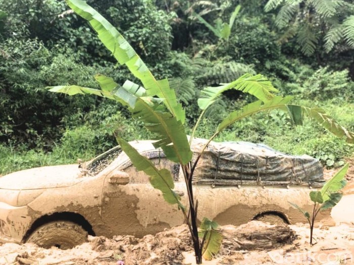 Jalan provinsi di Long Layu, Krayan, Nunukan yang ditanami pisang oleh warga.