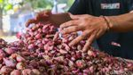 Jelang Lebaran, Harga Bahan Pokok di Pasar Ciputat Masih Stabil