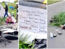 2 Motor Adu Kambing di Lampung, Pemudik asal Riau Tewas