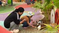 Manajer Operasional Mikutopia, Panji Akbar Ramadani, mengungkapkan, destinasi baru ini tengah melakukan uji coba operasional mulai 14 Maret hingga 20 Maret 2026 mendatang. Tiket masuk pun gratis.