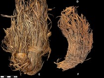 Manusia Purba Ternyata Sudah Bisa Jahit Baju, Seperti Apa Bentuknya?