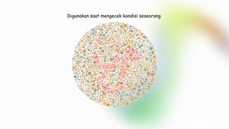 Selesaikan Tes Ini! Kalau Tidak Buta Warna, Harusnya Mudah Kok