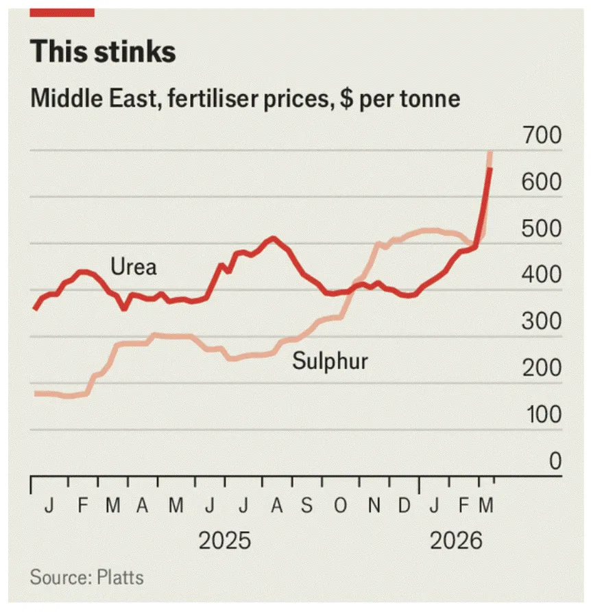 Dampak perang terhadap harga komoditas