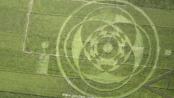 Misteri Kandungan Nikel di Batang Padi Crop Circle Sleman 2011
