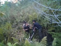 Kabur dari Lapas Wamena, Anggota KKB Pembunuh Polisi Ditangkap di Yahukimo