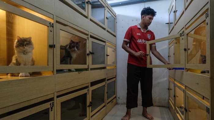 Pekerja meletakkan makanan untuk seekor kucing milik konsumen yang dititipkan di kamar hotel khusus hewan di Ciproet Petshop Medoho, Semarang, Jawa Tengah, Senin (16/3/2026). Menurut pemilik usaha pet shop, permintaan jasa penitipan hewan peliharaan khusus kucing tersebut meningkat sebanyak 11 kali lipat lebih dari hari biasa hanya empat kamar hewan menjadi 45 kamar terpesan penuh menjelang momen Lebaran 2026, dengan tarif yakni Rp50 ribu hingga Rp75 ribu per hari tergantung fasilitas dan perawatannya. ANTARA FOTO/Makna Zaezar/bar